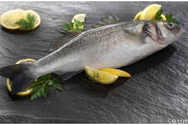 什么是海鱸魚呢 海鱸魚有什么營養價值呢
