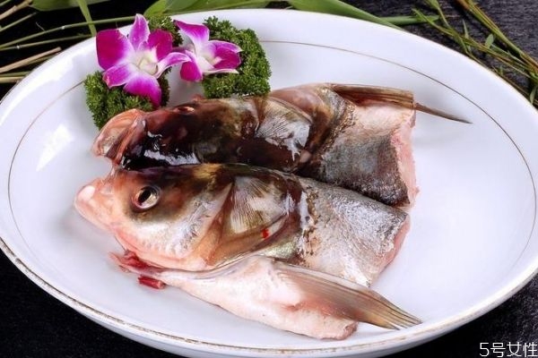 魚頭有什么營養價值呢 吃魚頭有什么好處呢