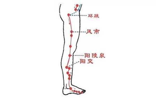 敲打膽經多久能瘦腿呢 水腫型腿能敲打膽經瘦腿嗎
