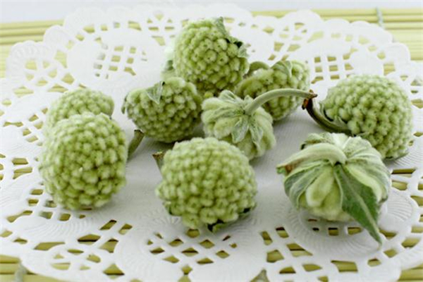 孕婦能喝綠蘿花茶嗎 月經期能喝綠蘿花茶嗎