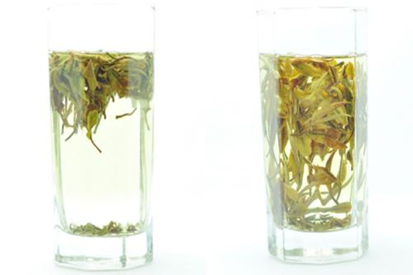 白牡丹茶可以泡幾泡 白牡丹茶多久出湯