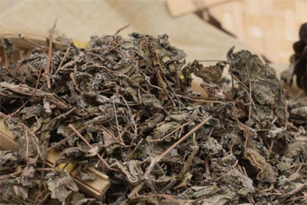溪黃茶來月經可以喝嗎 孕婦可以喝溪黃茶嗎