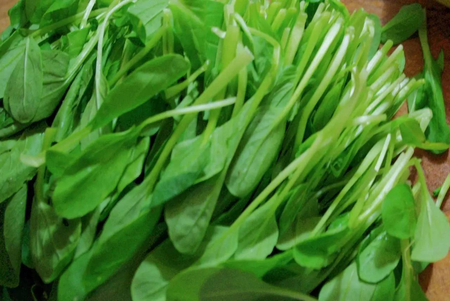 雞毛菜和小青菜有什么區別 雞毛菜和青菜的區別