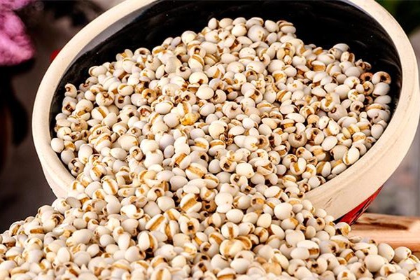 薏米可以打成豆漿喝嗎 薏米每次吃多少合適