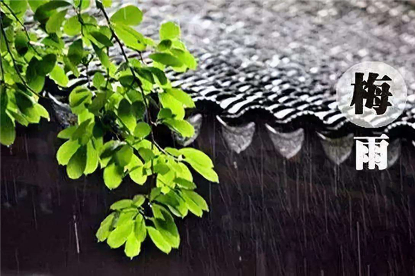 梅雨季節2021什么時間入梅 梅雨季節2021什么時間出梅