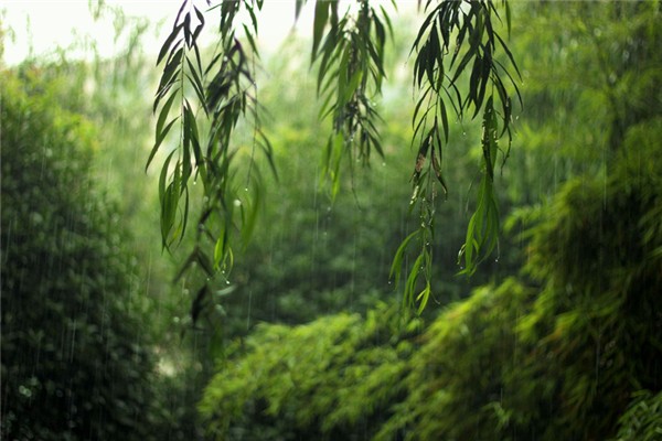 梅雨季節2021什么時間入梅 梅雨季節2021什么時間出梅
