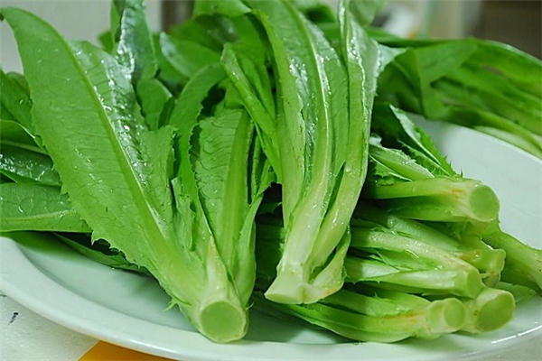 油麥菜發苦是怎么回事 油麥菜發苦能吃嗎