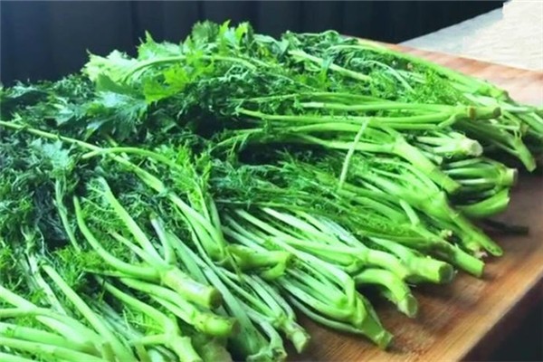 雪里紅可以不腌制吃嗎 雪里紅和梅干菜有什么區別