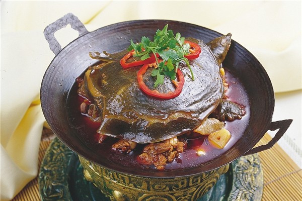 甲魚可以和雞一起燉嗎 甲魚和什么煲湯最有營養