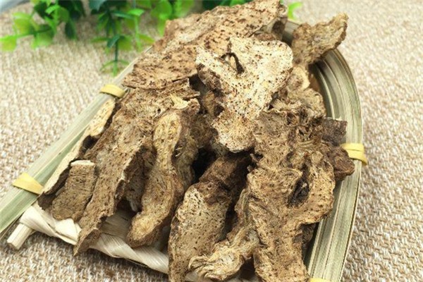 蒼術可以煲湯嗎 蒼術的功效和作用