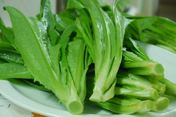 油麥菜是萵苣葉子嗎 油麥菜是什么季節的蔬菜