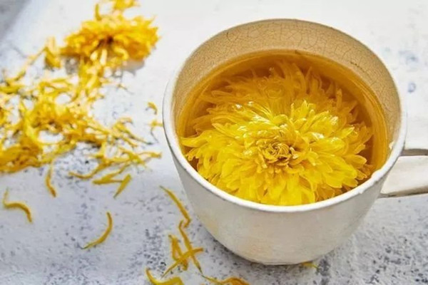 菊花茶什么季節喝合適 菊花茶什么時間段喝好