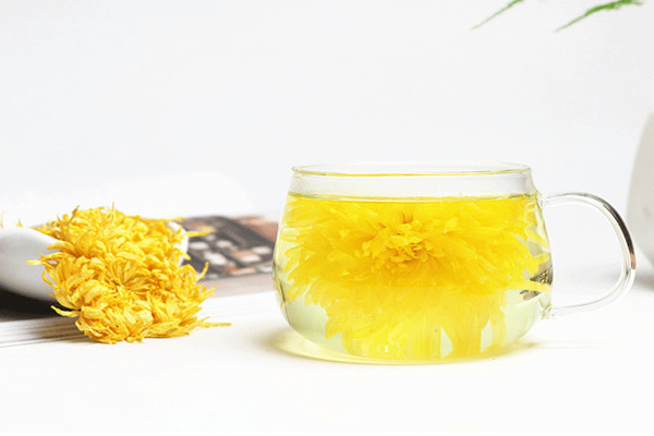 菊花茶什么季節喝合適 菊花茶什么時間段喝好
