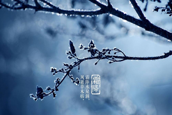 霜降是第幾個節氣 霜降意味著什么