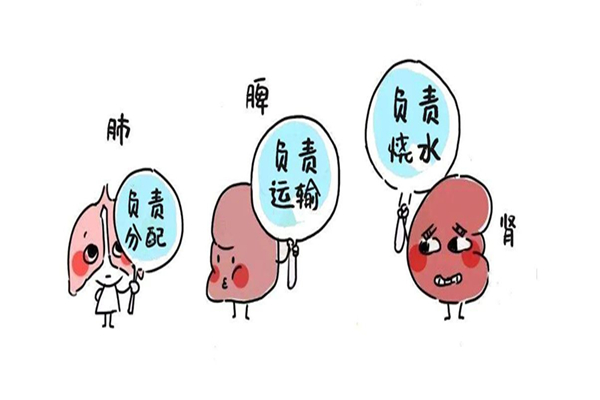 氣血不足會導致脫發嗎 氣血不足對身體造成哪些影響