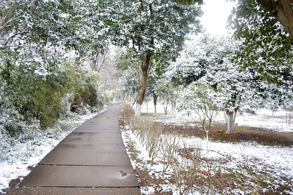 小雪節氣會下雪嗎 小雪節氣的含義是什么