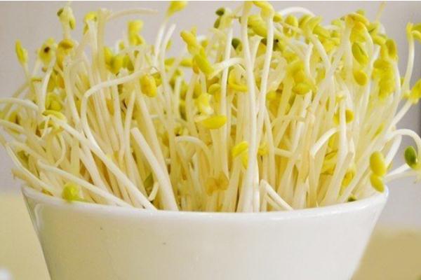 豆芽是什么季節的菜 豆芽是用什么豆發出來的