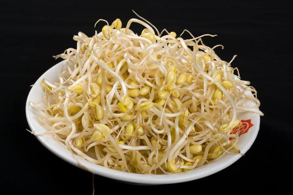 豆芽的豆子可以吃嗎 豆芽的營養成分
