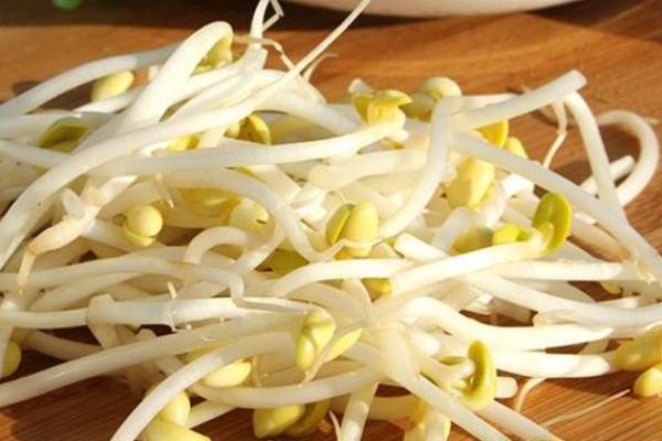 豆芽的豆子可以吃嗎 豆芽的營養成分