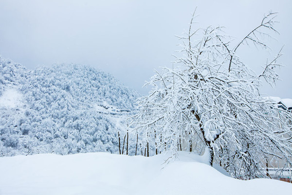大雪節氣是幾月幾號2021年 大雪節氣是什么意思