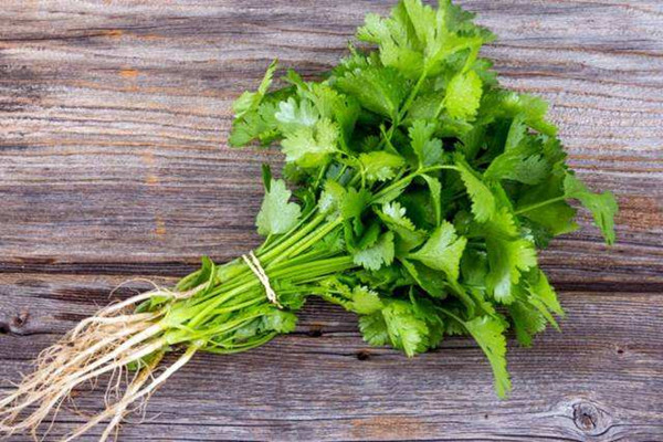 香菜屬于發物類嗎 香菜根可以吃嗎
