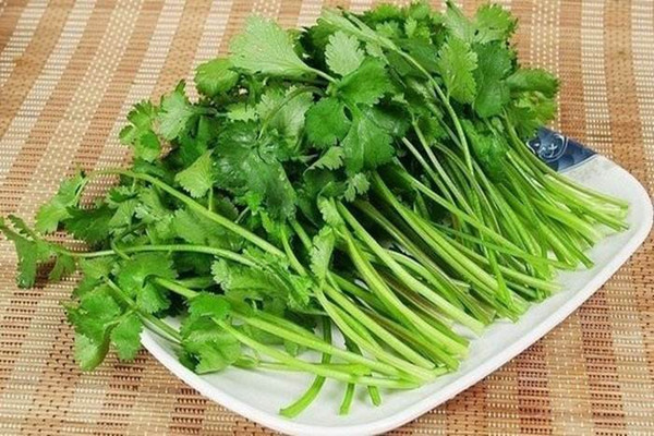 香菜屬于發物類嗎 香菜根可以吃嗎