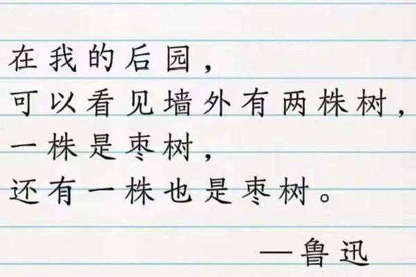 廢話文學是什么意思網絡用語 廢話文學是什么時候火的