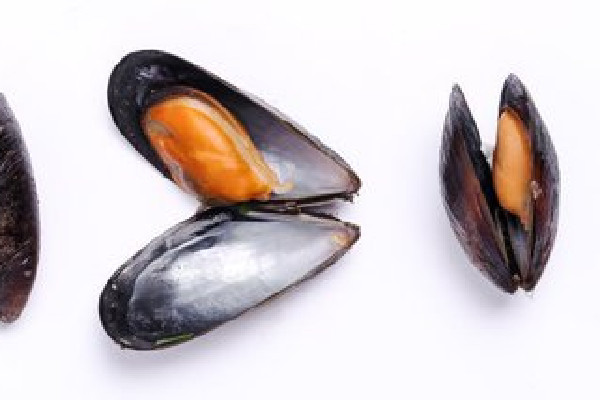 海虹什么季節吃最肥 海虹是什么東西