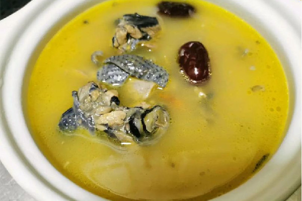 烏雞和普通雞的區別 烏雞和普通雞的營養是一樣的嗎