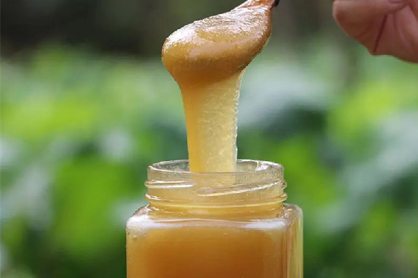 土蜂蜜和普通蜂蜜的區別 土蜂蜜和普通蜂蜜哪個好