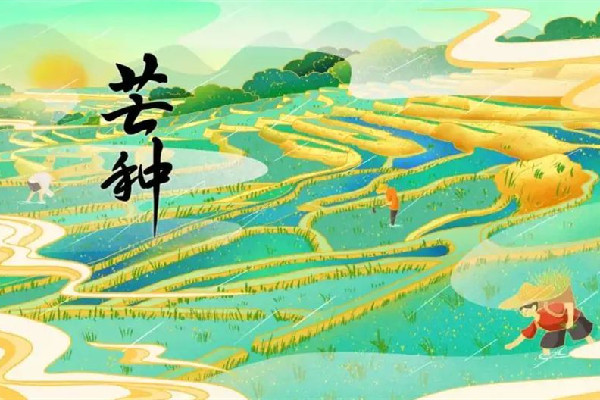 芒種節氣在陽歷的幾月 芒種節氣的來歷和風俗
