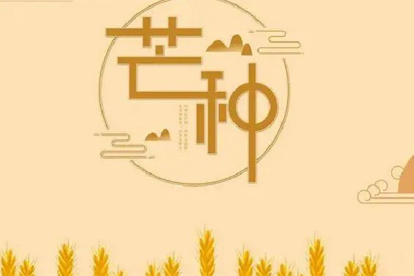 芒種是夏季的第幾個節氣 芒種屬于哪個季節