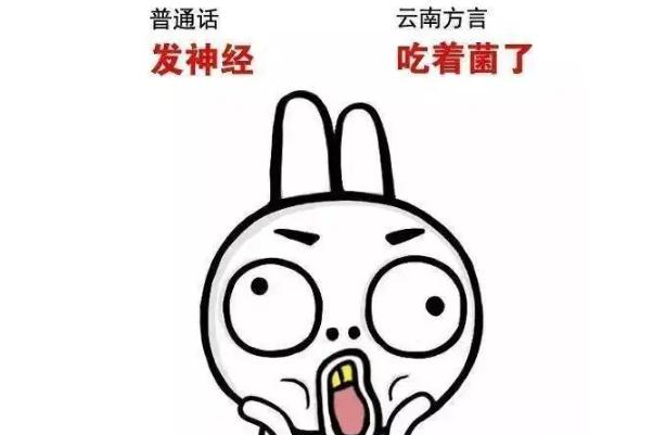 云南方言屬于哪個方言區 云南方言老瓦抓是什么意思