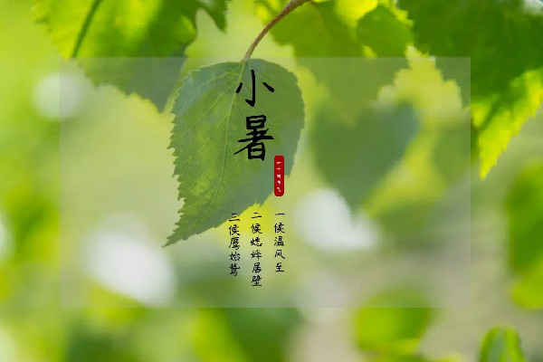 小暑節(jié)氣是幾月幾日 小暑節(jié)氣的特點和風(fēng)俗