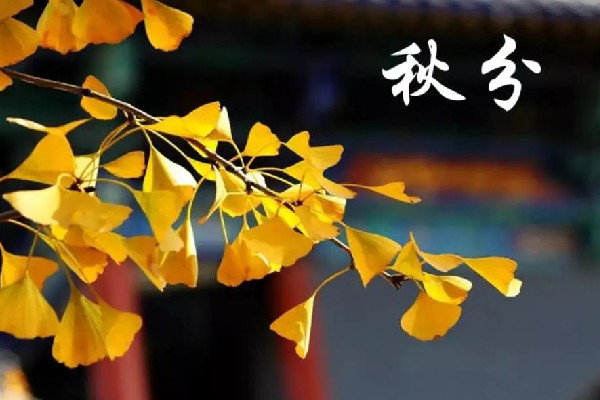 秋分后還熱不熱了 秋分會出現什么現象