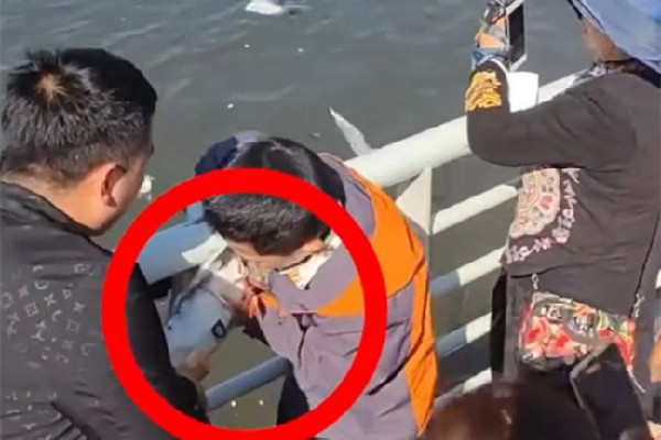 家長帶男孩抓海鷗硬生生塞進(jìn)罐子 海鷗是保護(hù)動物嗎