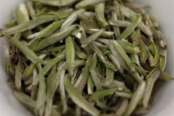 白毫銀針的功效和作用 白毫銀針適合什么季節飲用