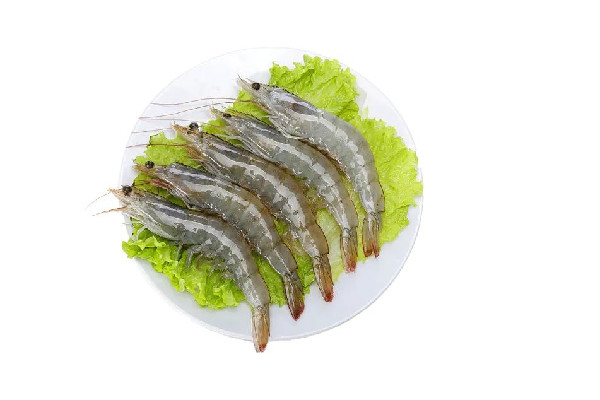明蝦有什么營養價值 明蝦可以做蝦滑嗎