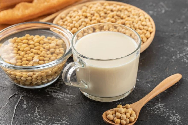 大豆蛋白粉和乳清蛋白粉的區別 大豆蛋白粉適合尿酸高的人吃嗎