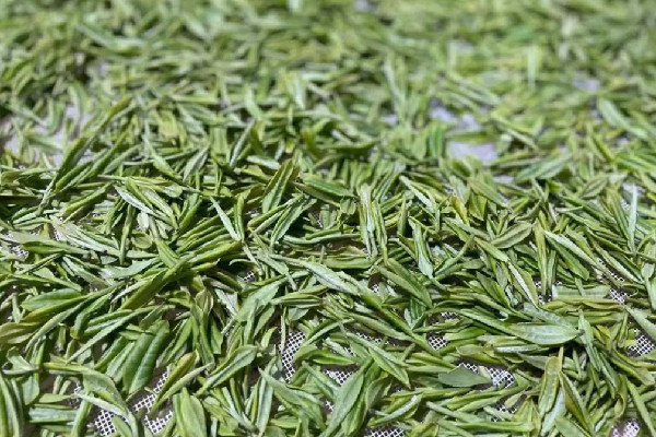 安吉白茶多少錢一斤2023 安吉白茶是名茶嗎
