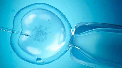 2022三代試管嬰兒精子活力要達到多少？_2