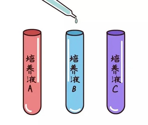 2022年北京試管嬰兒最好的醫院需要多少錢？