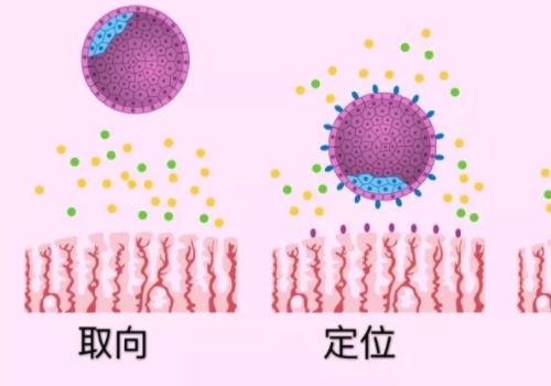 全國做試管嬰兒最好的醫院是哪家