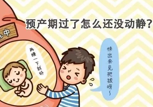 做個試管嬰兒要花多少錢