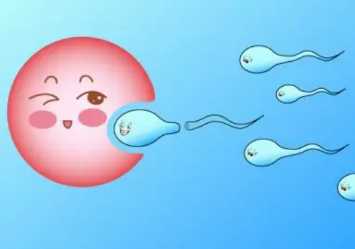 湖北做試管嬰兒醫院哪家好