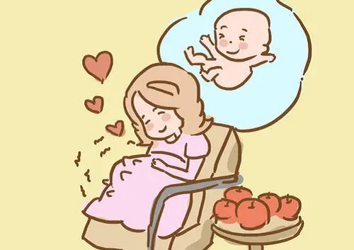 美國試管多少錢？