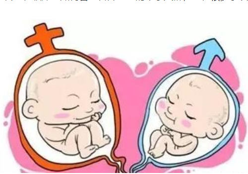 去做美國試管嬰兒的成功率？