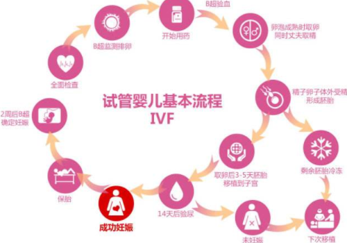 試管可以選嗎誰說了算？