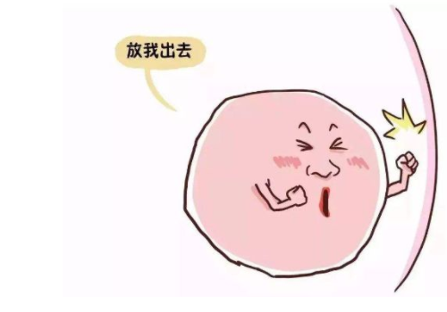 美國做試管嬰兒的費用？